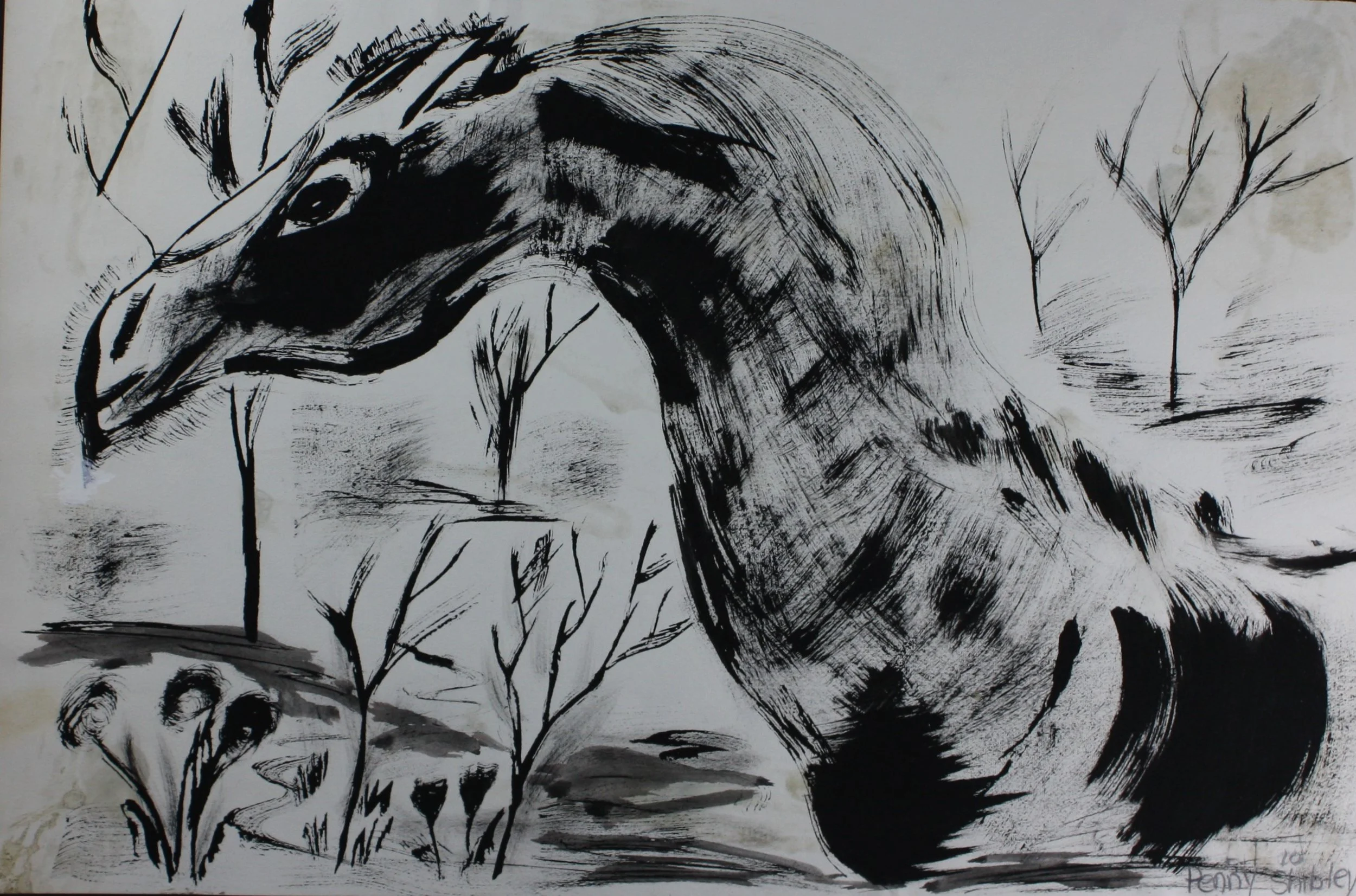 Pen and Ink Artwork by Penny Shibley