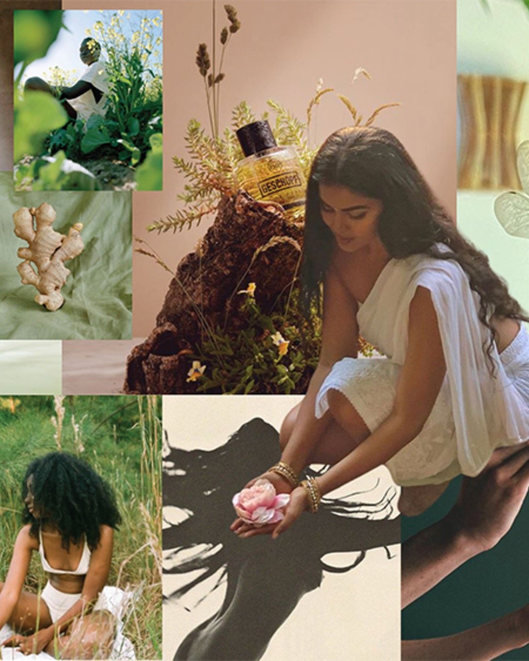 Moodboard vs Concept!

Green Witch began as a feeling rooted in nature, intention, and quiet power. The direction for the moodboard was softness, earthiness, connection, and the divine feminine.

The concept then brought it into focus through a visua