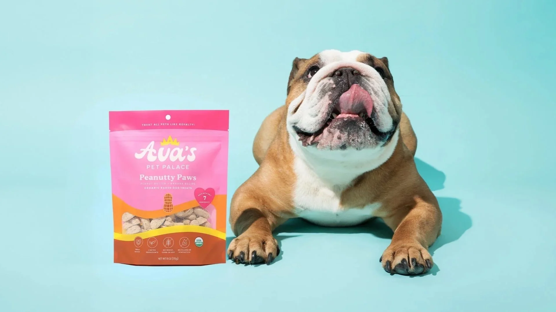 LP_CaseStudy_AvasPetPalace_Bulldog-PeanuttyPaws-Horizontal.jpg
