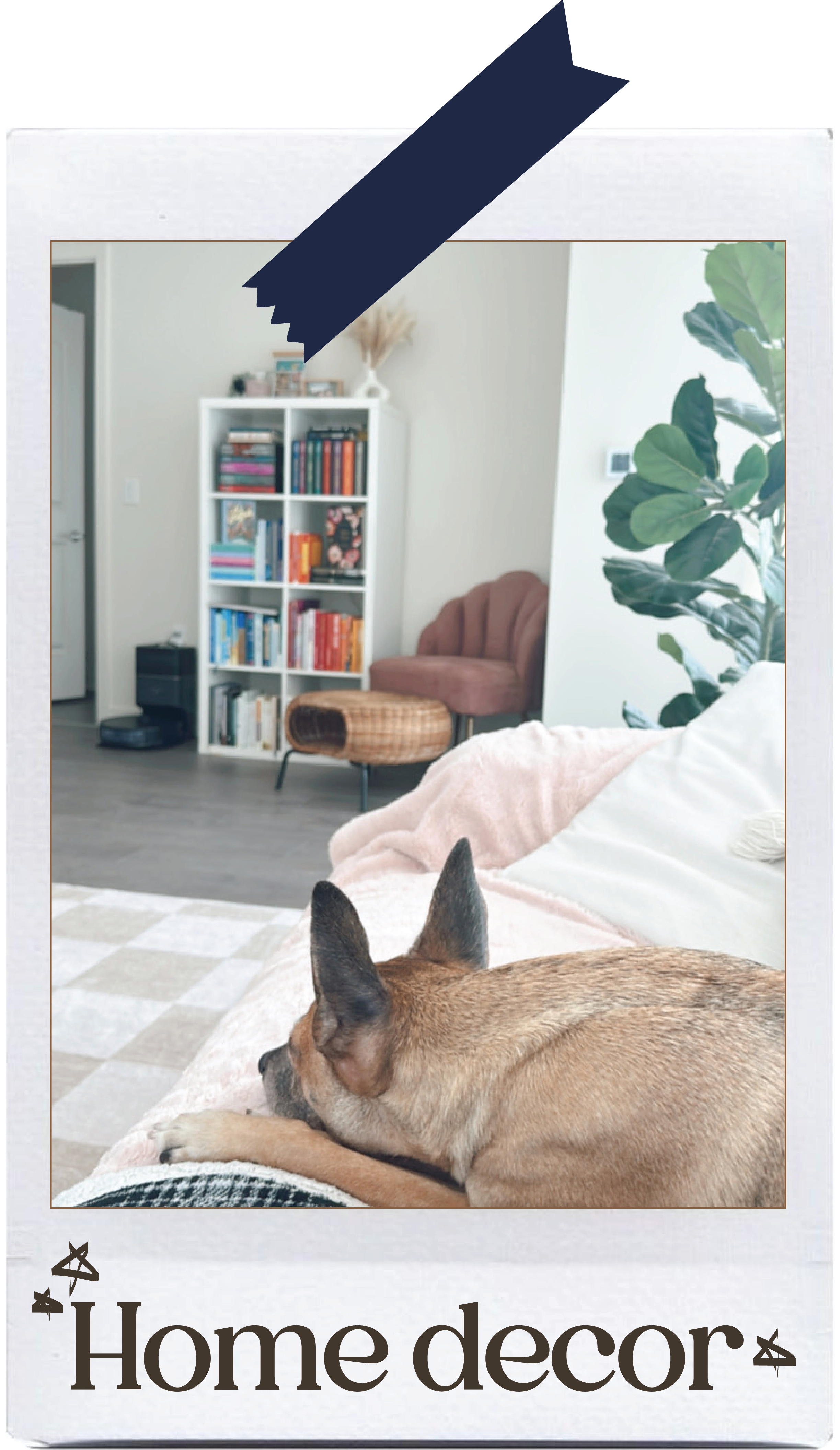 June RECS-09.png
