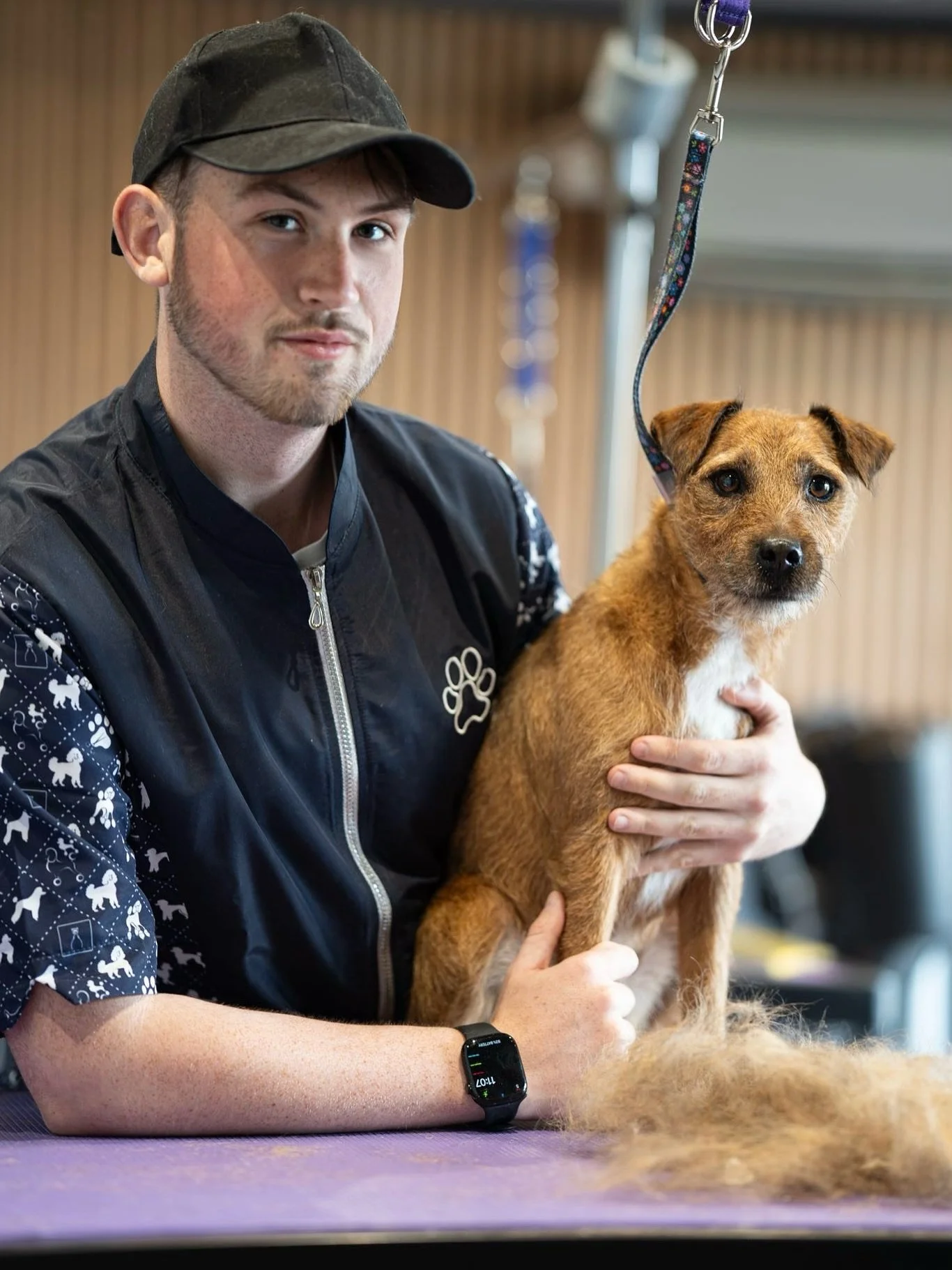 This beautiful girl named &lsquo;Dottie&rsquo; came to visit me today at @petitepawsonly in WORCESTER CITY! Today she had a handstrip groom! How beautiful does she look 🧡😍

Photos incredibly taken by @hopeandhoundsphotography @hopetheterrier