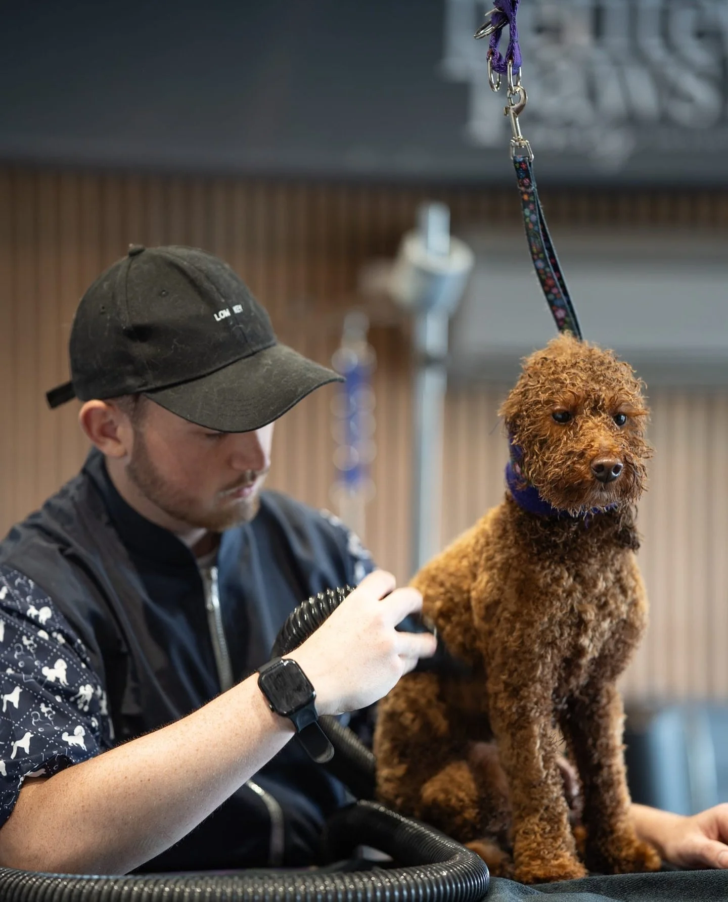 📍WORCESTER @ @petitepawsonly 

SUNDAY 14TH DECEMBER!!!

Appointments available! Please contact 07966211239