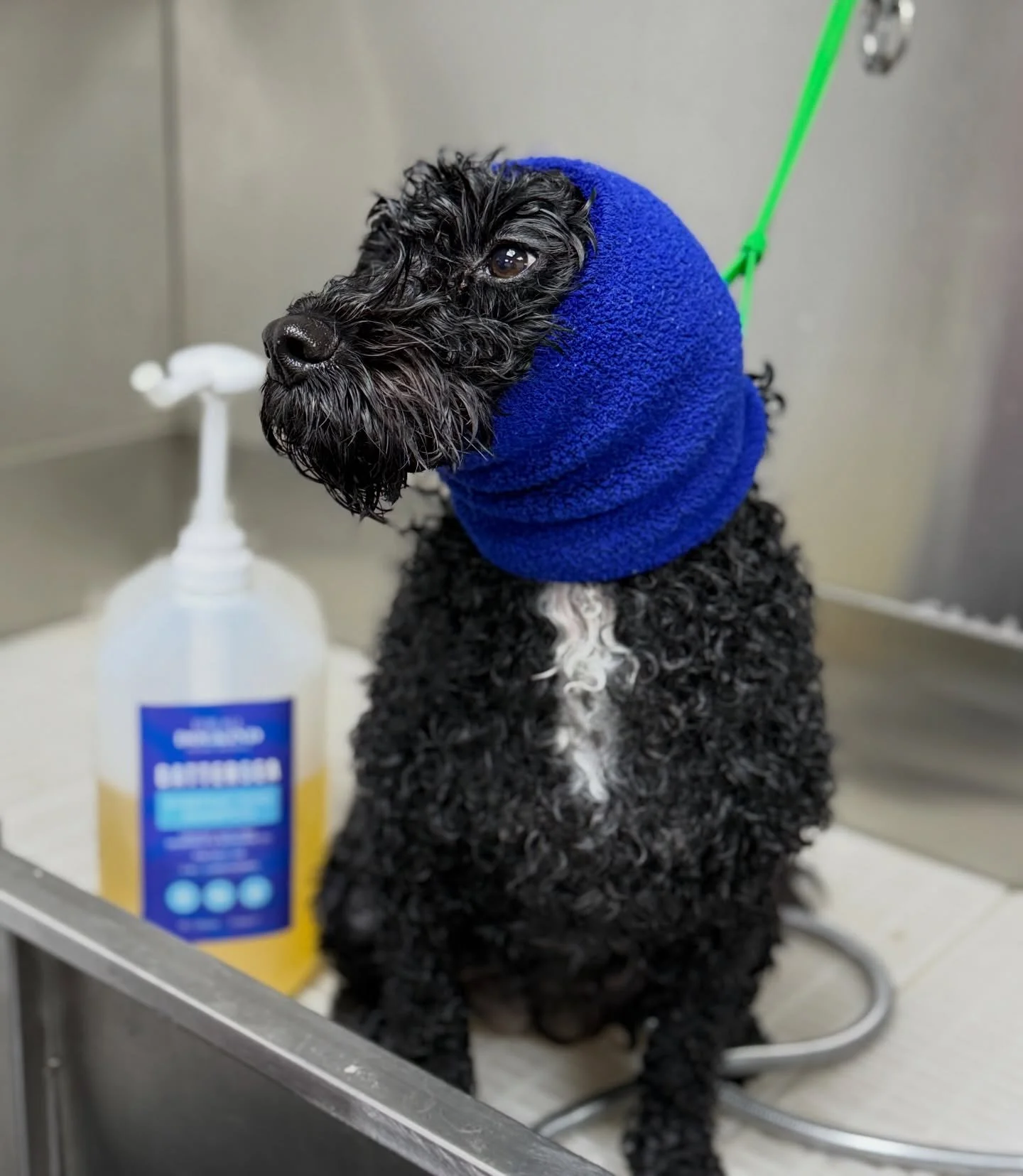 LIMITED SPACE AVAILABLE!! 

Contact me via social media or 07966211239