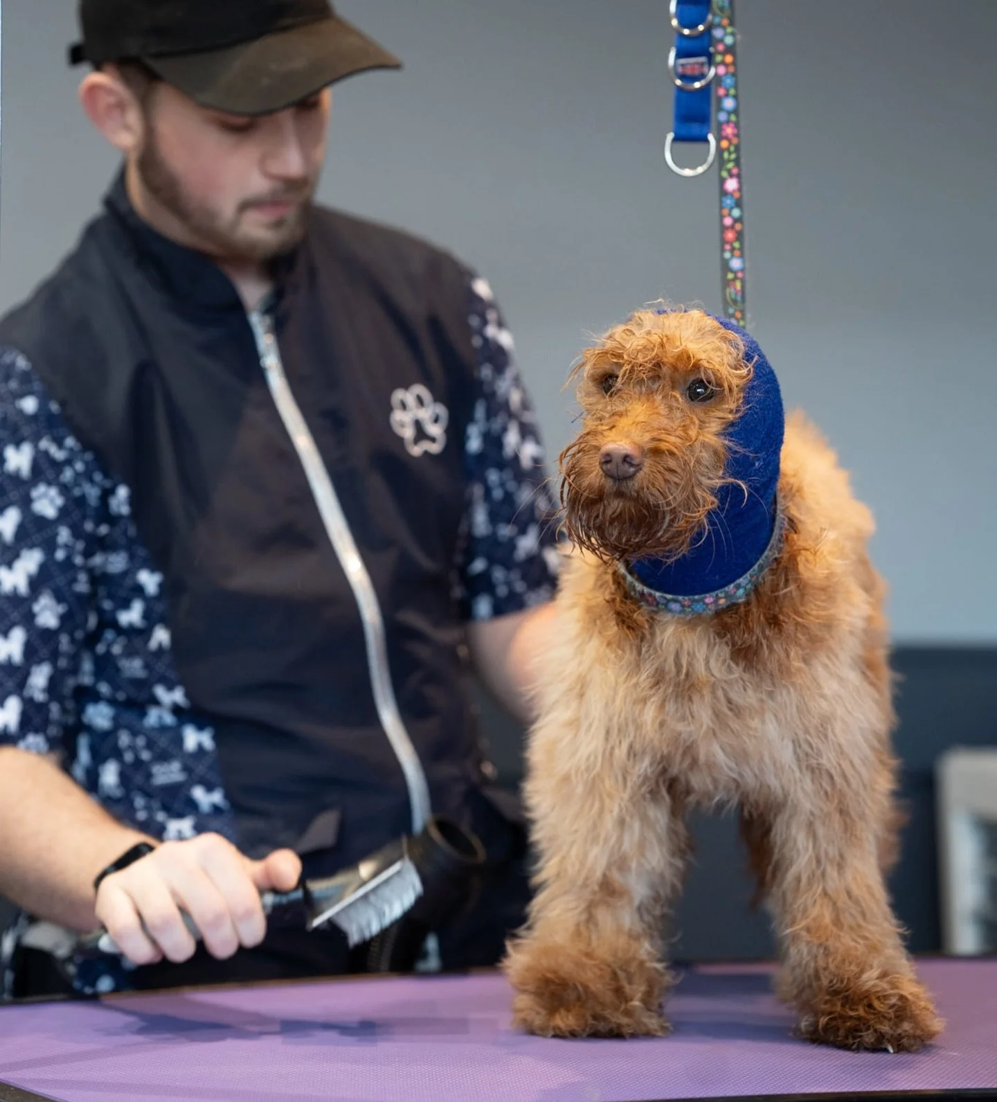 🎄 CHRISTMAS AVAILABILITY!!! 🎄

🎄 CATCH IT BEFORE ITS GONE !!🎄

WEDNESDAY 17TH DECEMBER 
1.30 pm 

Don&rsquo;t forget !!
❄️ WINTER DEAL ❄️

With all the wet and miserable weather arriving! Why not book your SMALL + MEDIUM dogs in for a bath, blowd