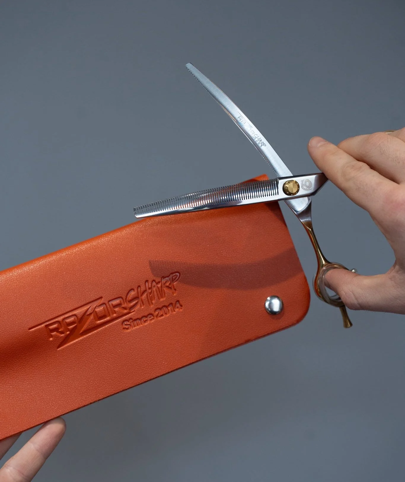 Today we tested my new 7.5 inch curved blenders in high quality 440c Japanese Steel. Beautiful gold handled design with gold pivot screw from RAZOR SHARP !! Great for heads! Feet, legs and tails!! Absolutely adore these scissors!

#doggrooming #doggr