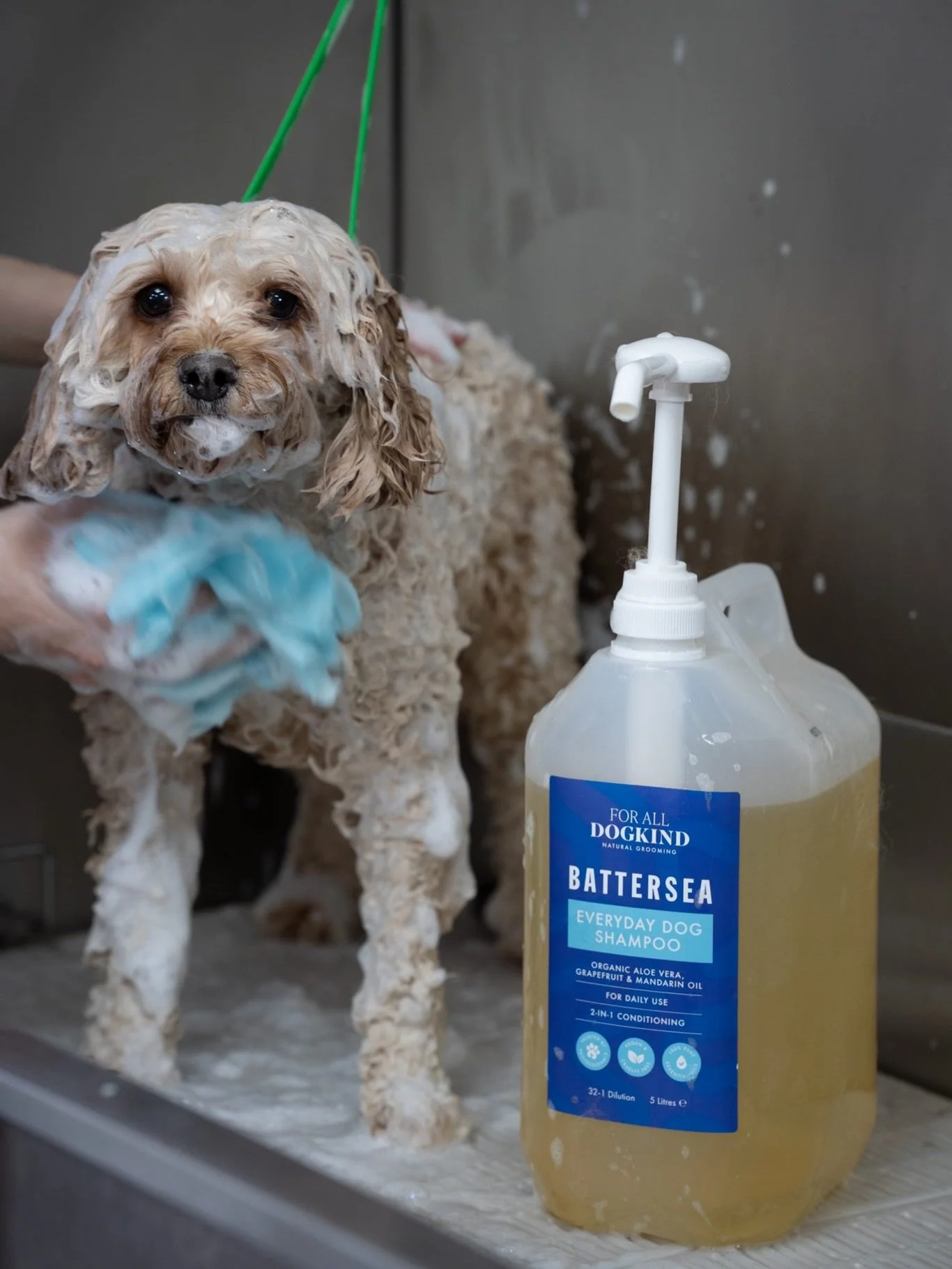 We&rsquo;re proud to be part of For All DogKind&rsquo;s Wash with Care mission, supporting Battersea.

Because every wash should be one of care &mdash; for dogs in the salon and at home. 

#WashWithCare #ForAllDogKind #BatterseaDogs #DogGroomersUK

&