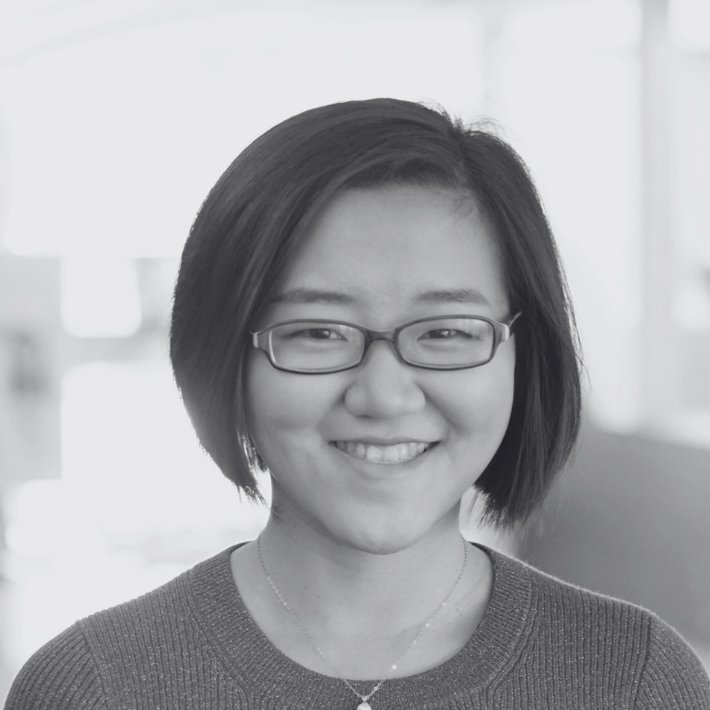 Hong Zhu