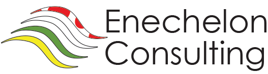 Enechelon Consulting logo