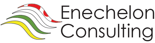 Enechelon Consulting