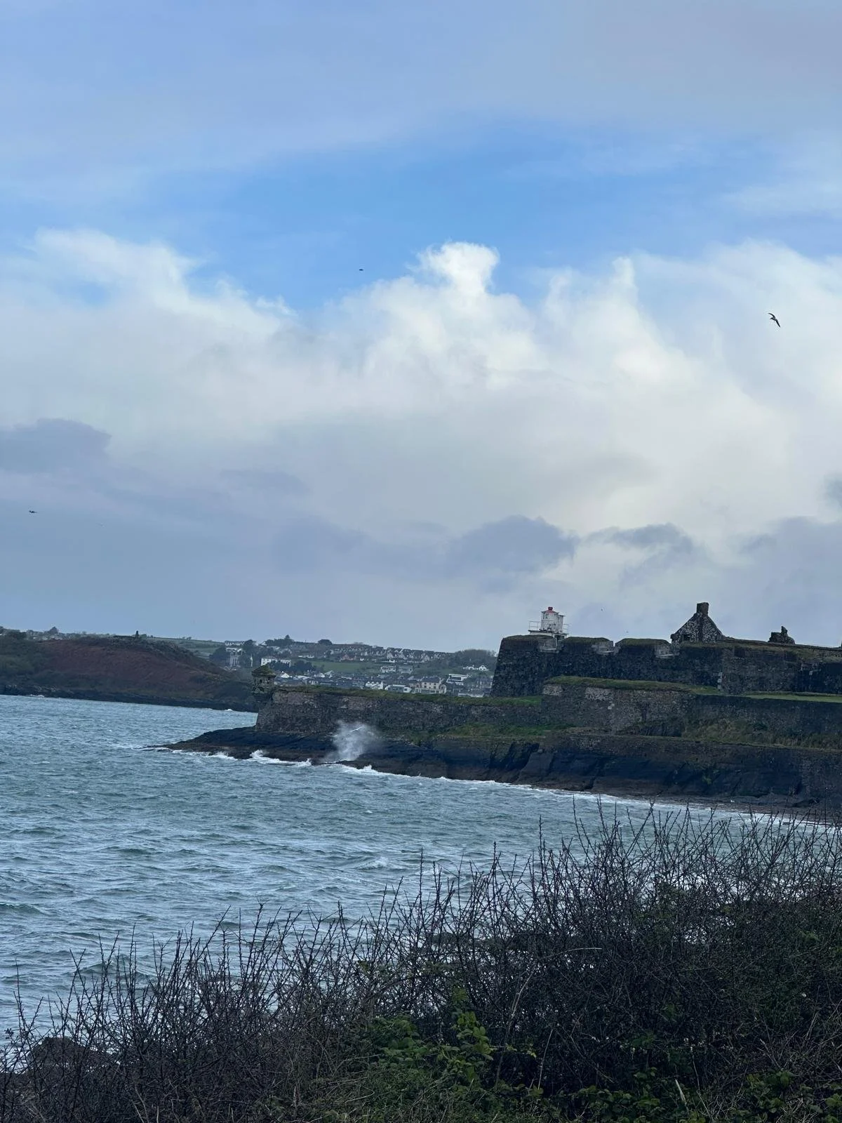 A coastal scene showing a stone fortress on a rocky shoreline with a lighthouse on top. The water is choppy, and there are some houses in the distant background on a hillside. The sky is mostly cloudy with some blue sky and birds flying.