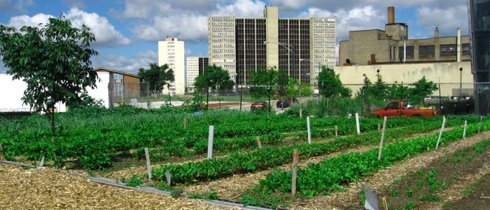 How to Break Free from the Numbers Leash and Cultivate Gardens