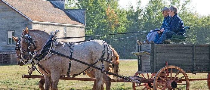 Don’t Put The Ecclesiastical Cart Before the Horse