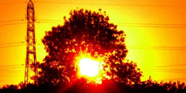 This is the Church's Burning Bush
