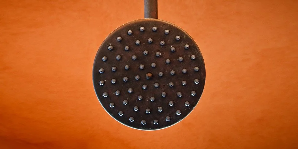 Don't Lose Those Brilliant Shower Ideas!