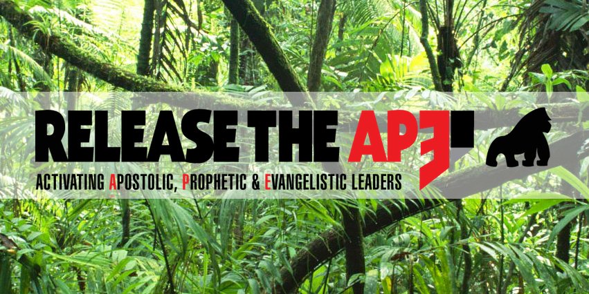 [Video] An Introduction Beau Crosetto's "Release the APE"
