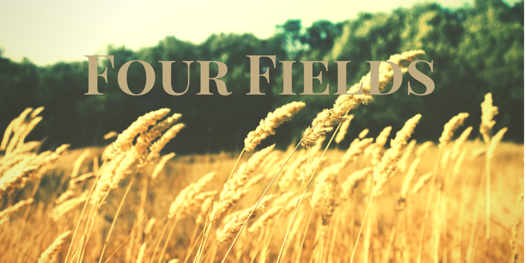 Disciple-Making: Playing Ball in All Four Fields