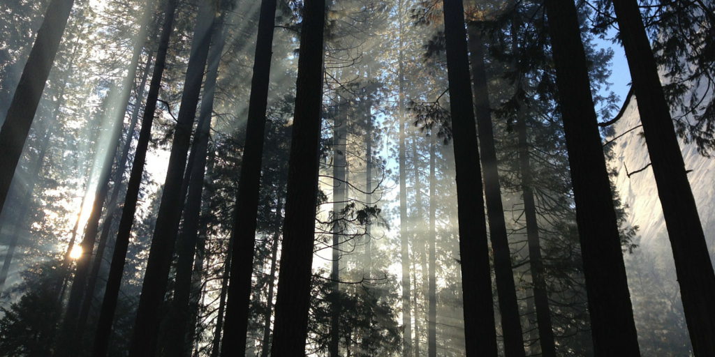 10 Soul-Restoring Experiences of Silence