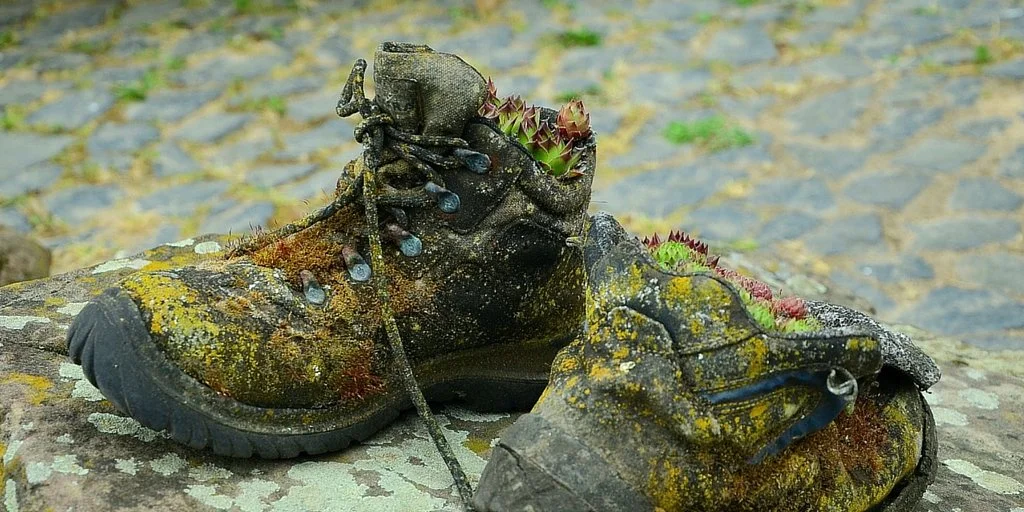 Knowing Where It's Worth Planting a Church