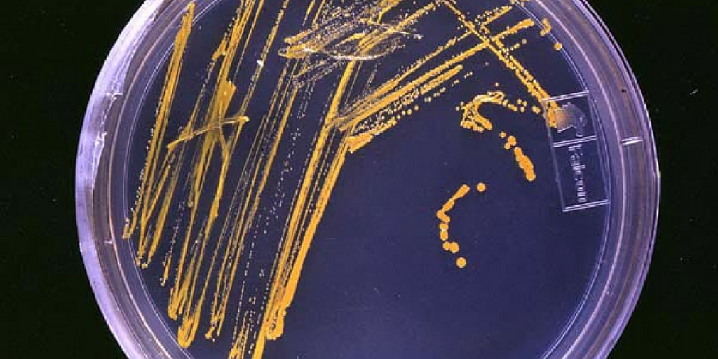 4 Ways Jesus Established Culture