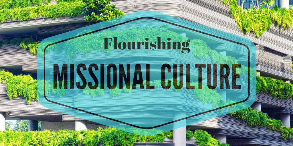 How to Know If a Missional Culture Is Flourishing