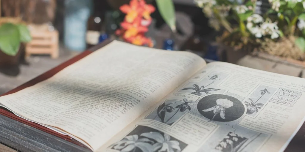 4 Things I Wish I Had Known Before We Planted A Church