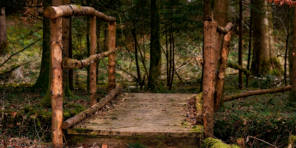 6 Keys to Fruitful Life Transitions