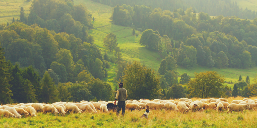 5 Ways to Become a Better Pastor in Your Neighborhood