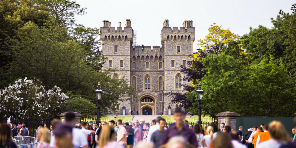 Welcoming a Royal Opportunity