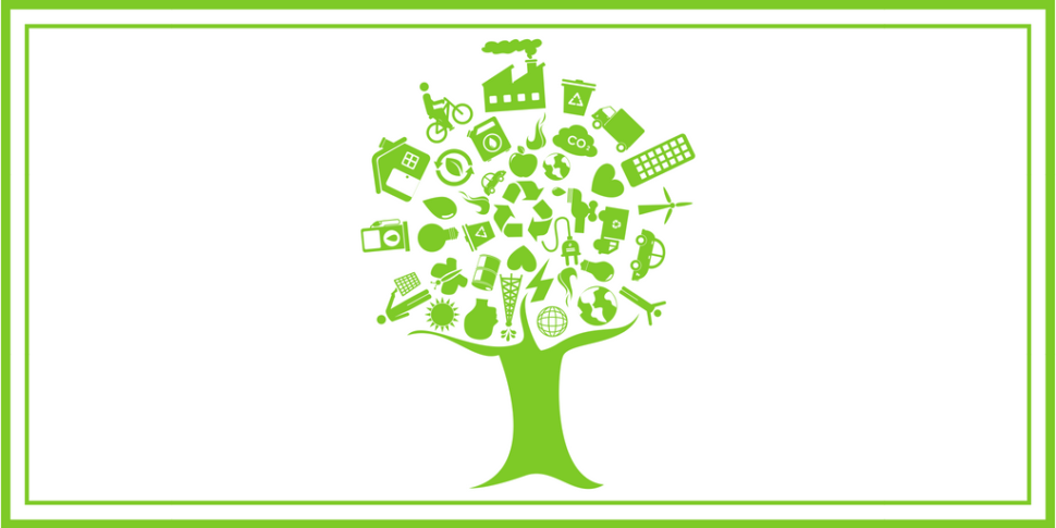 The Ecology of the Gathering