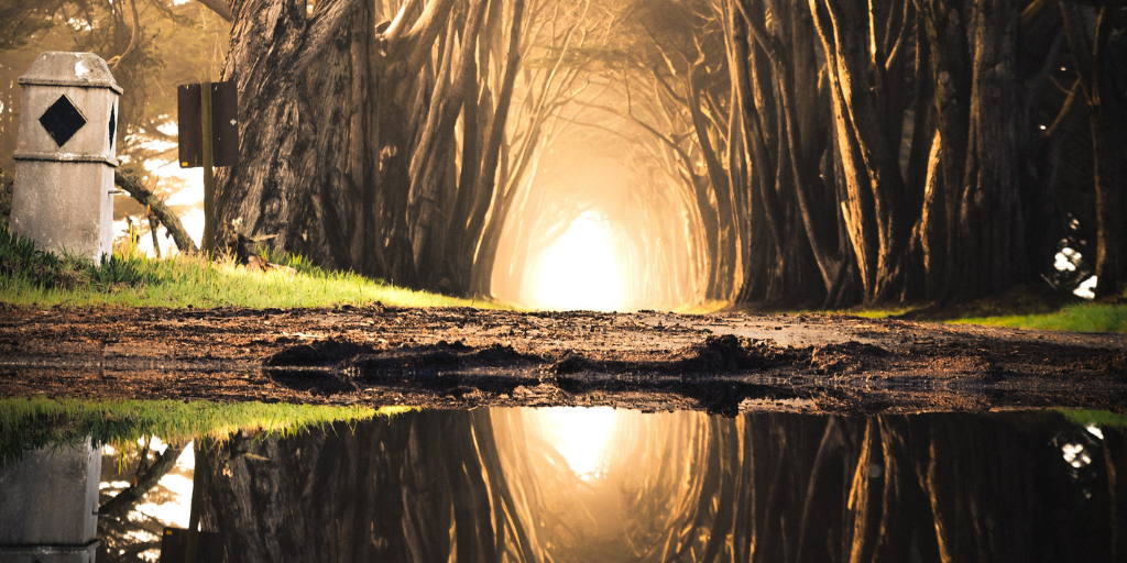 Discerning the Way Ahead