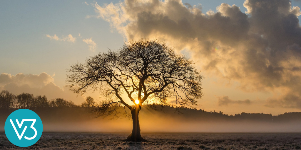 Statistically Significant