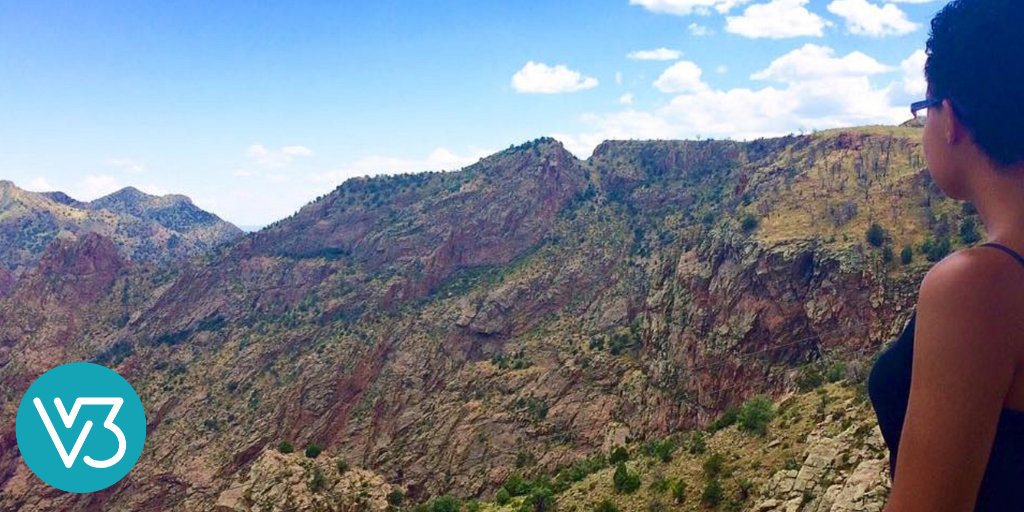 Enter the Re-Wonderment of the World.