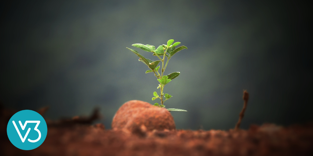 Essential Elements of Kingdom Movements