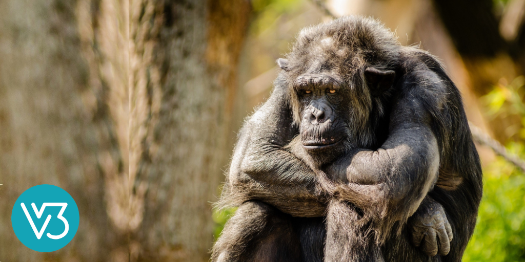 Keeping the Apes at Home