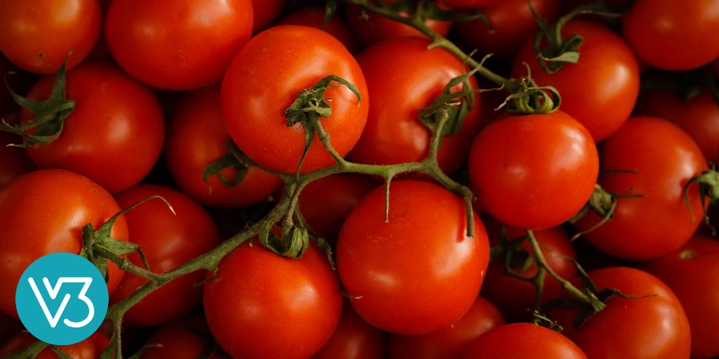 Learning from Tomatoes as We Reopen Our Churches