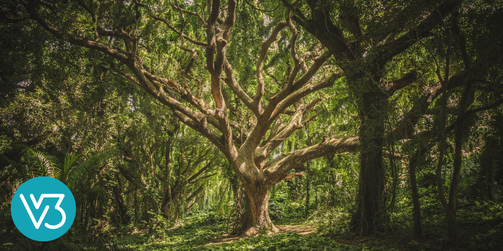 You Are a Soul: Spiritual Health