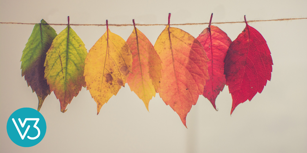 A Summer of Distant Socializing