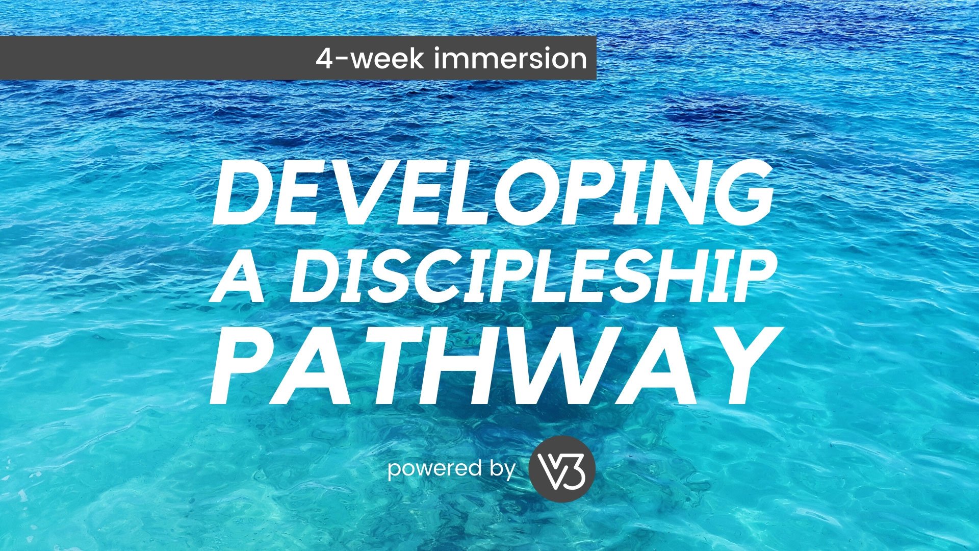 Developing a Discipleship Pathway Immersion
