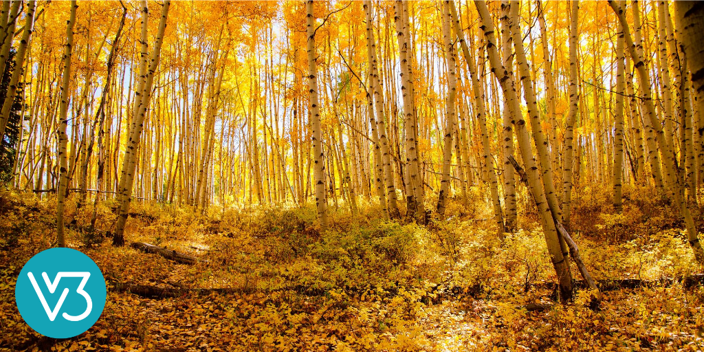 Hybrid Ecclesiology: A Proposed New Normal