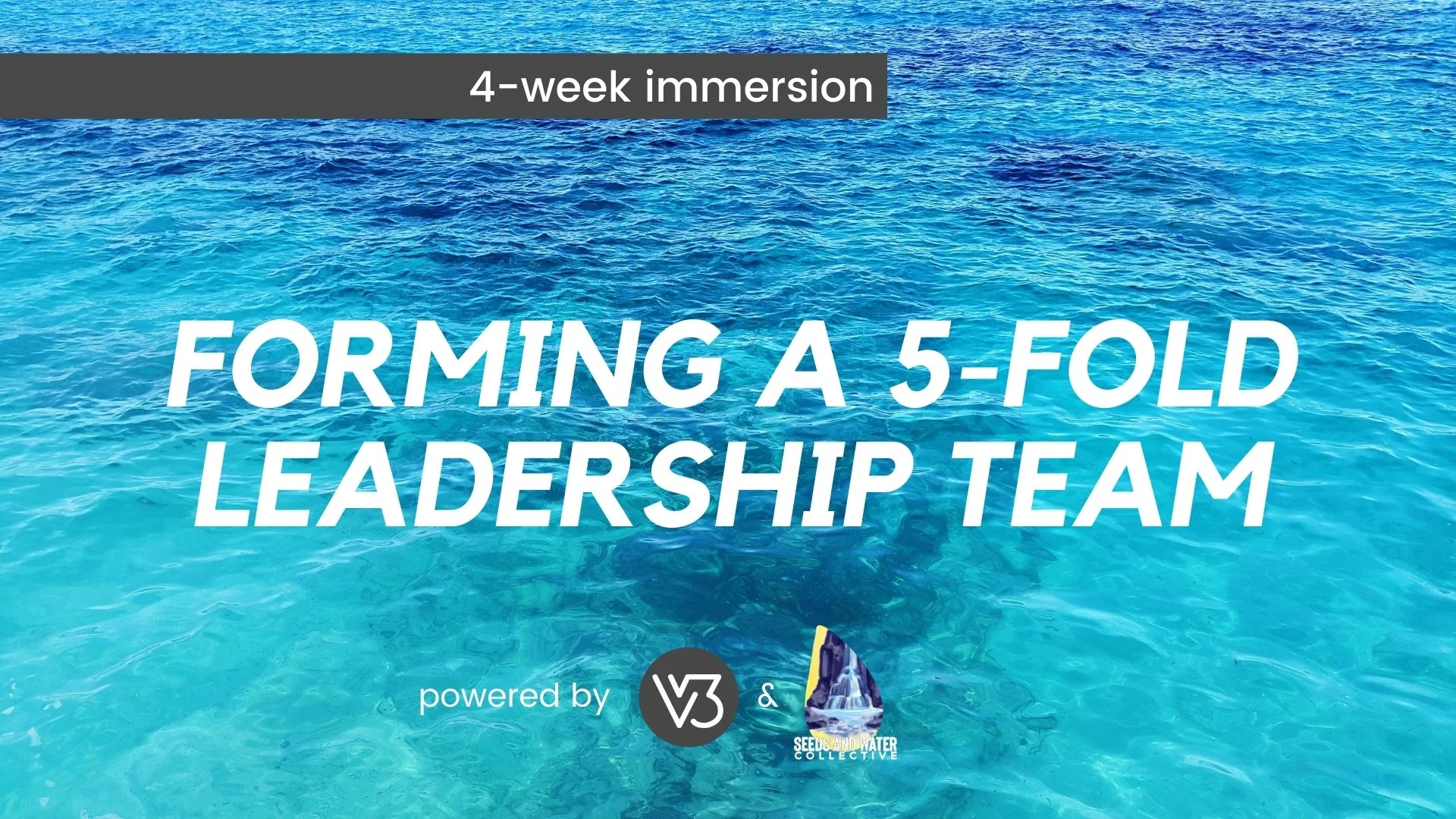 Forming a 5-Fold Leadership Team Immersion