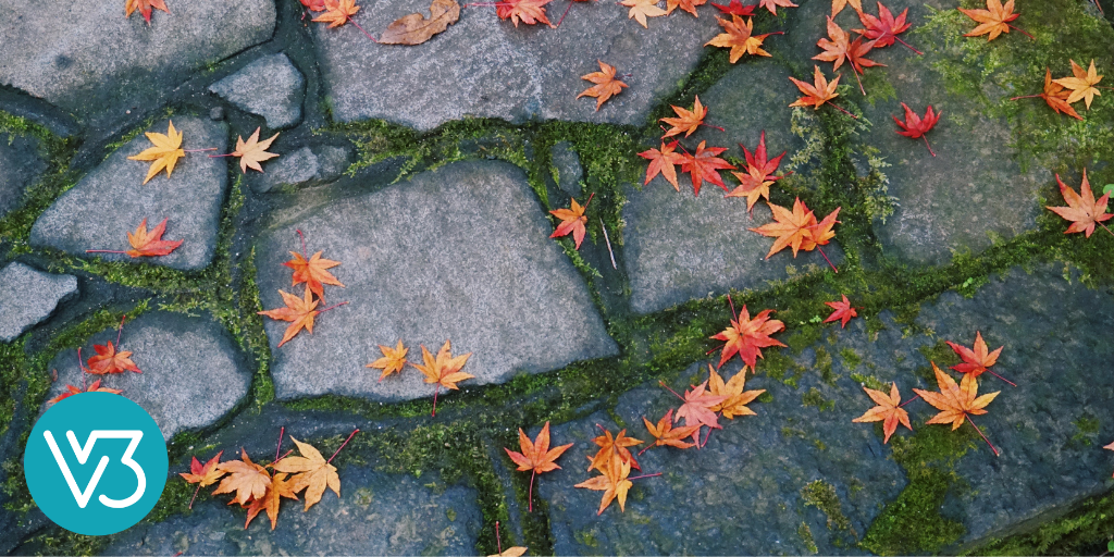 Wonder in the Trauma Healing Process