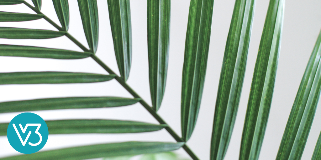 We All Need Sacred Space