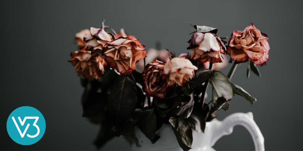 Anti-Asian Racism and Your Church