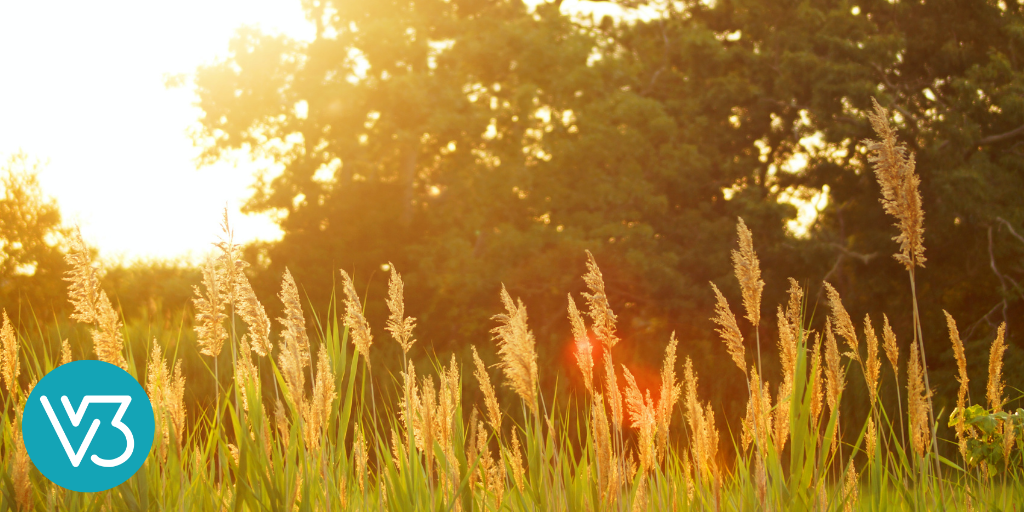 Finding Sacred Space and Sacred Time This Summer