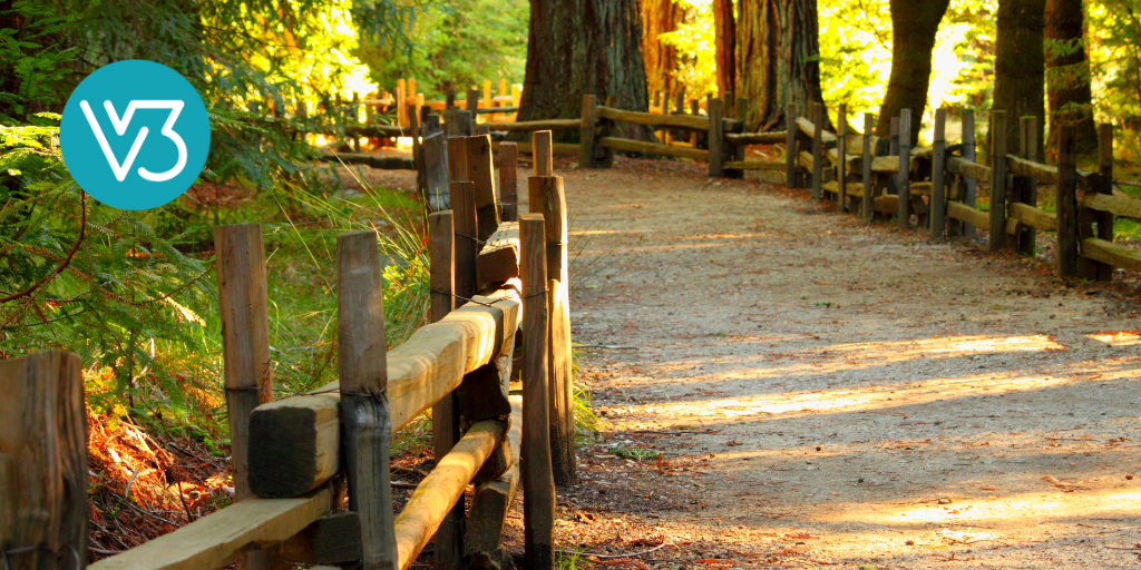 5 Steps for Creating a Discipleship Pathway (2024 Refresh)