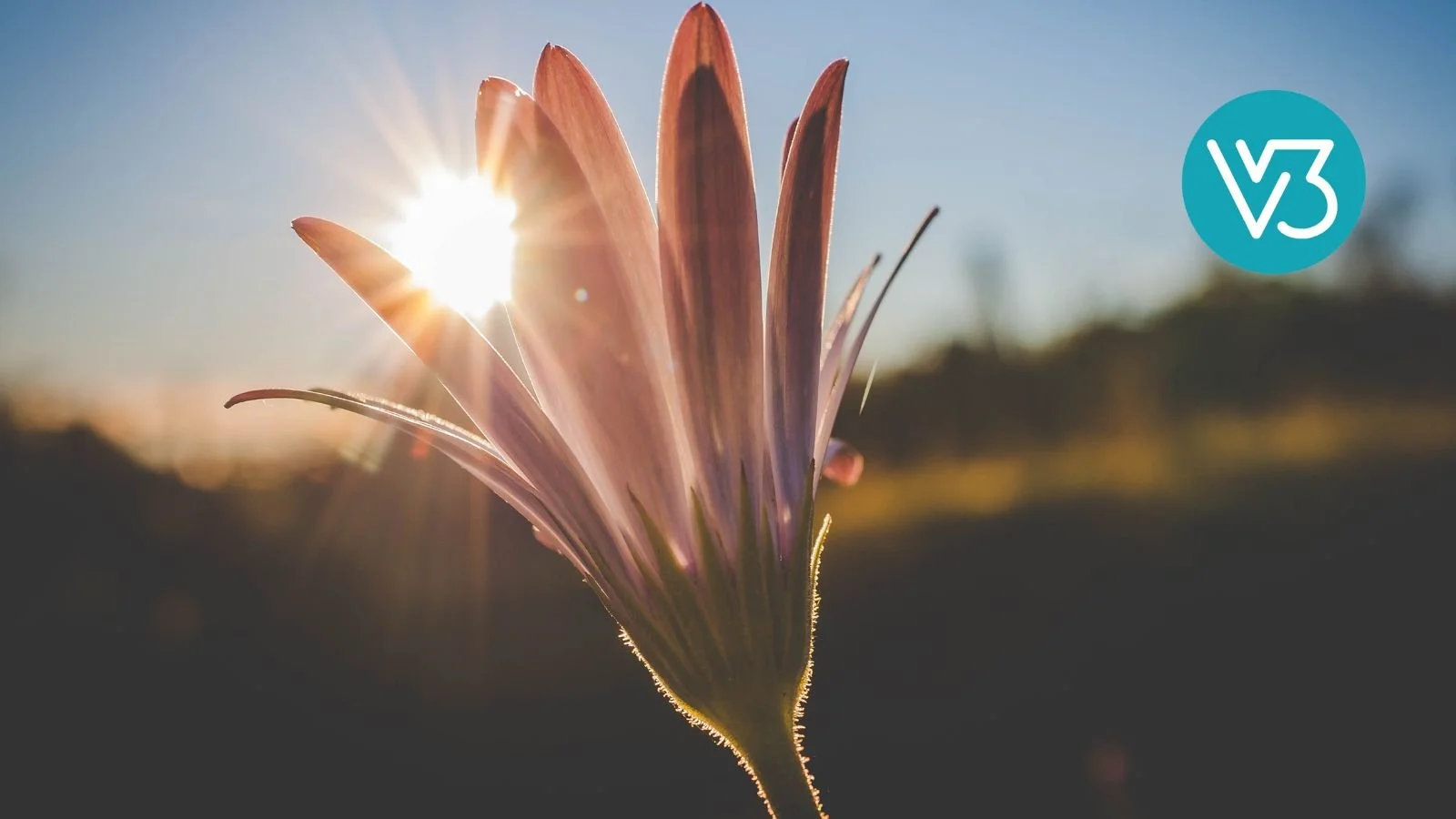 The Radiant Power of Spiritual Hope