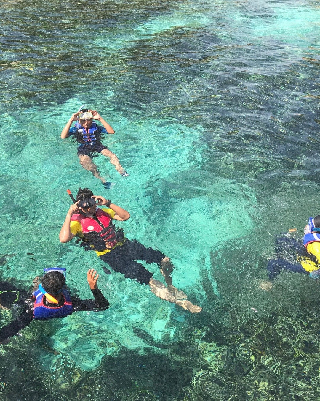 South Swells bring warm and clear waters to our Punta de Mita coast line 🌊🤿 perfect for snorkelling and exploring - you never know what you might see! 

#pelayoadventureclub #puntademita #islamarietas