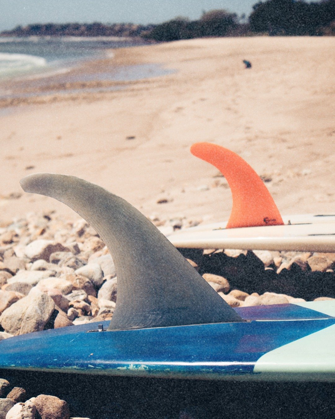 South Swell Season has arrived 😍- book your surf trip with us! 🔗Link in Bio #PelayoAdventureClub #SurfTips #BeginnerSurfer