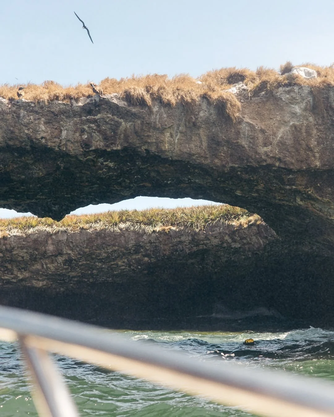 We are now booking for SPRING BREAK 2026! 

🗓️&nbsp;Spots are filling up fast, secure your adventure before you arrive: +52 322.133.3996 📞