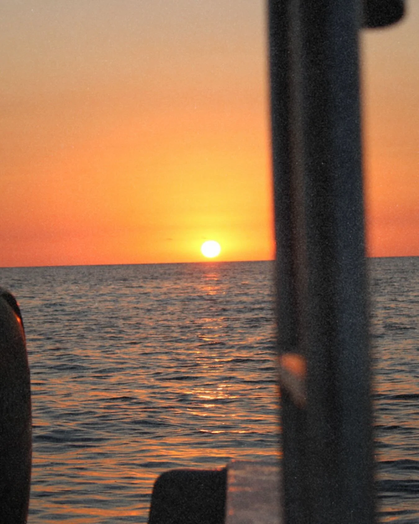 Where there&rsquo;s whales, you might just catch a sunset like this too 😍🌅